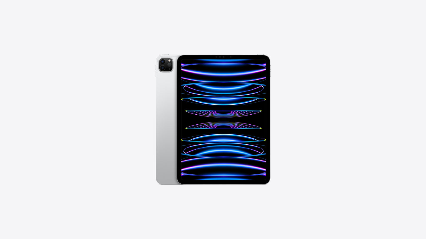 iPad Pro 11" 4th Generation