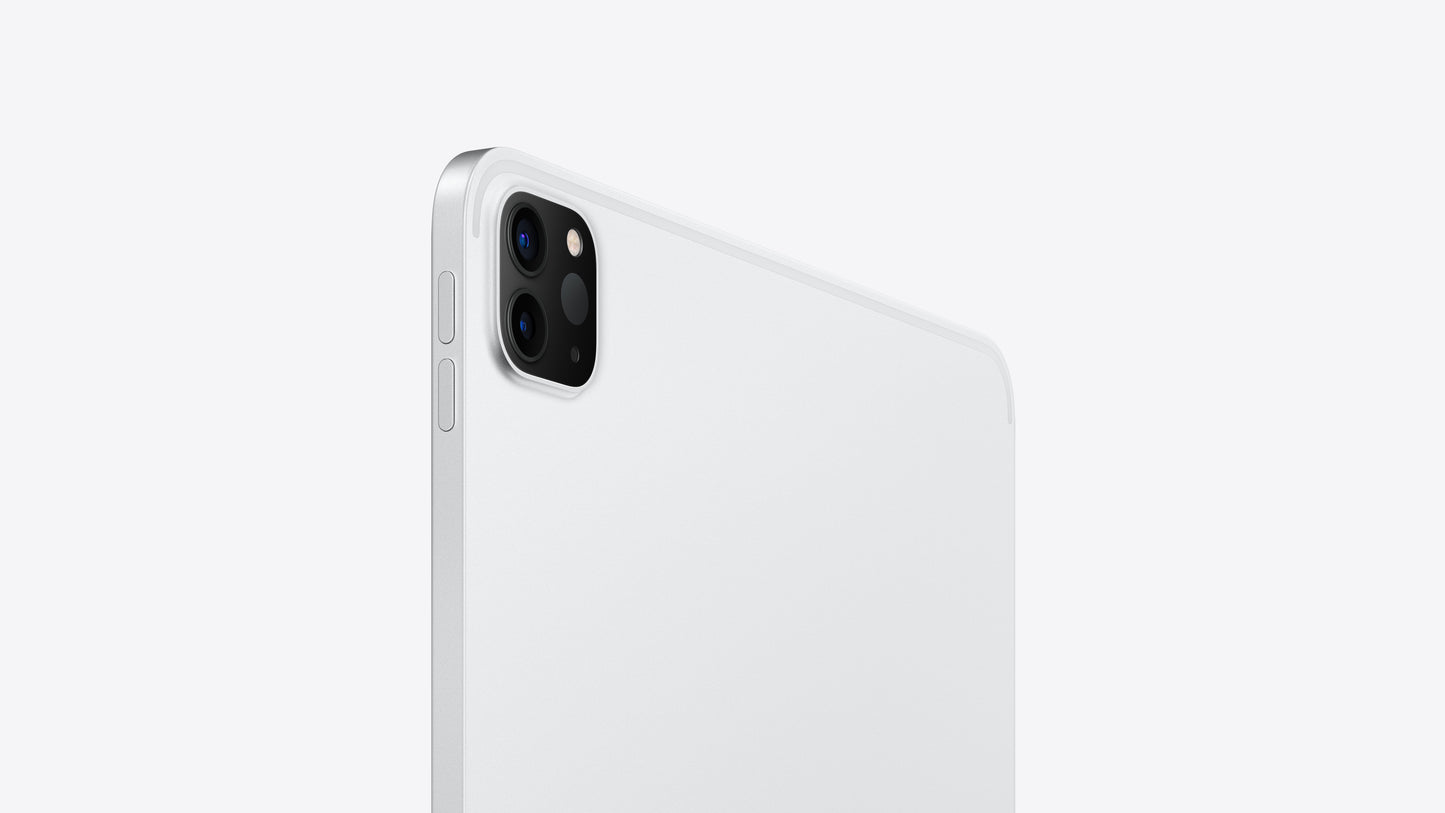 iPad Pro 11" 4th Generation