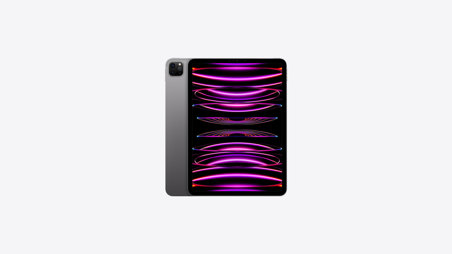 iPad Pro 11" 4th Generation