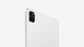 iPad Pro 11" 4th Generation